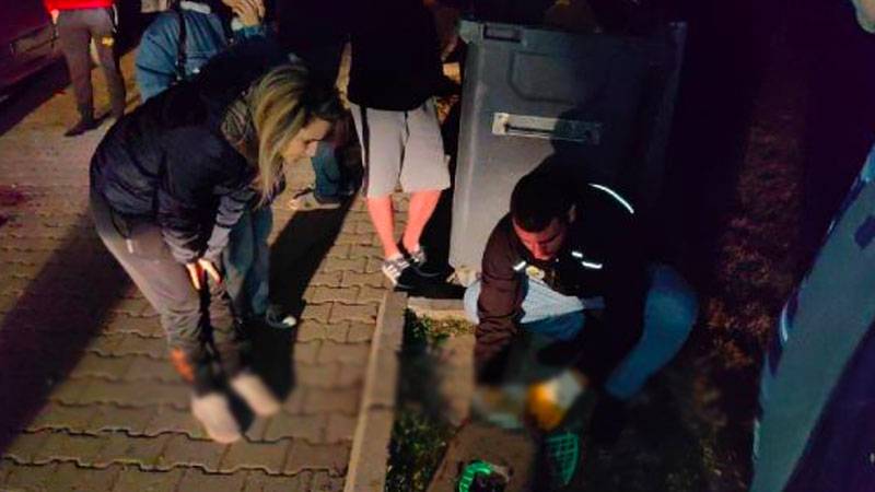 7 ayda baktığı 6 kediden 5'i öldürüldü, 1'i kayboldu