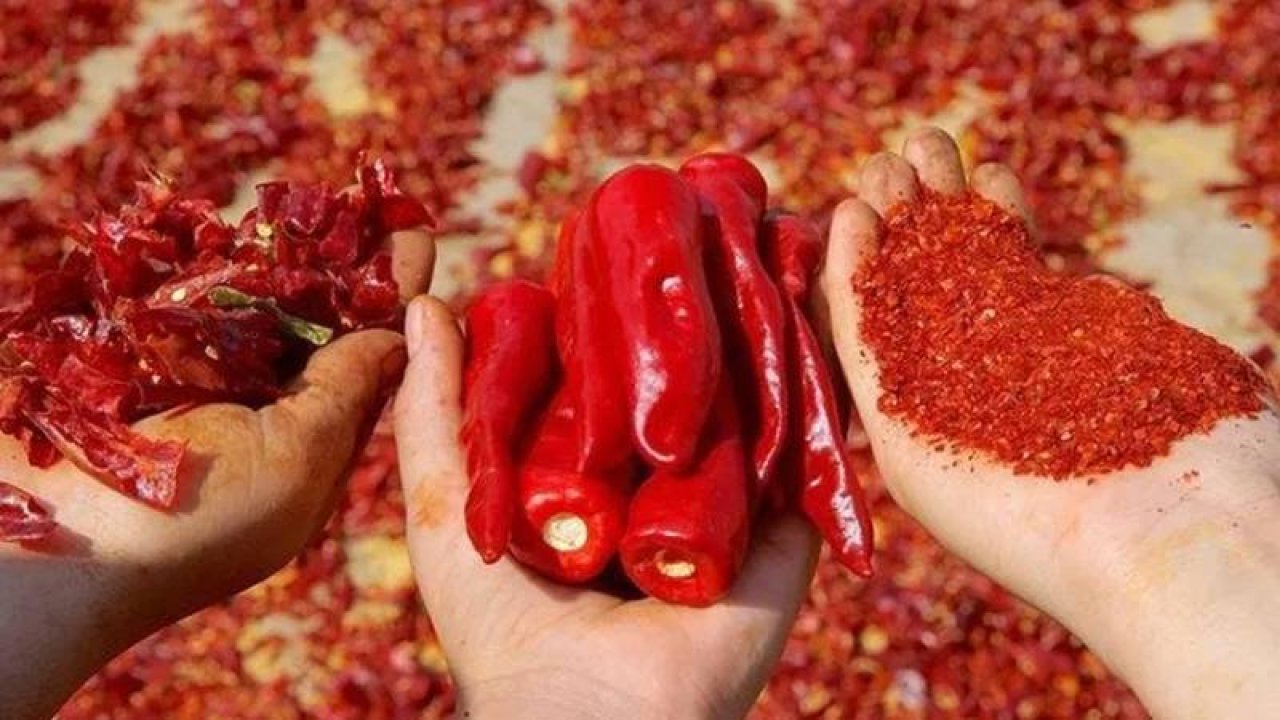 Pul biberin fiyatı cep yakıyor