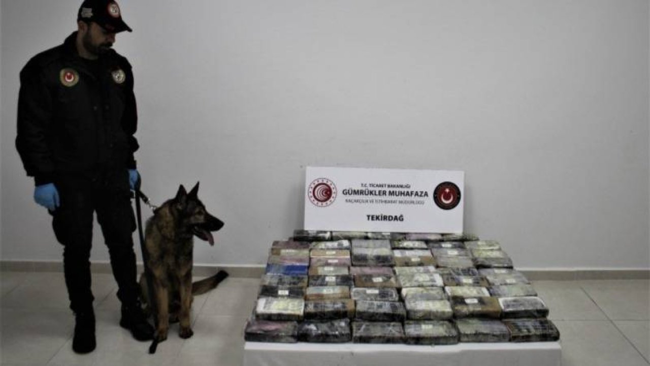Bakan Muş: Tekirdağ Limanı'nda 114 kilogram kokain ele geçirildi