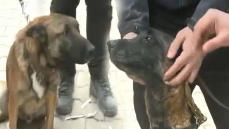 Çakıl ve Rüzgar bugüne dek 28 kişiyi kurtardı