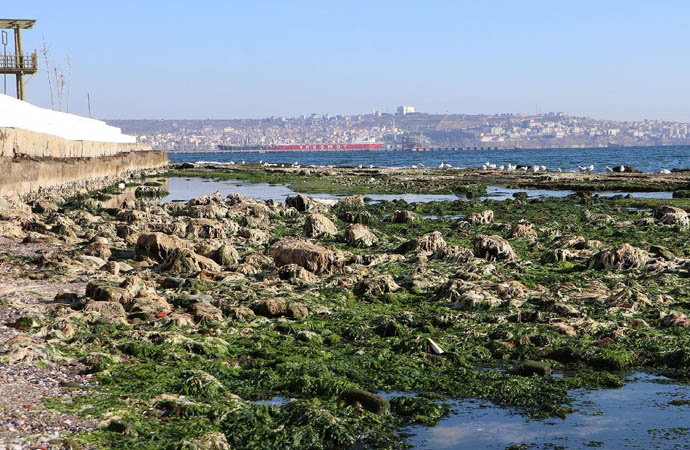 Marmara Denizi'ndeki çekilmeyle ilgili İTÜ ve Kandilli Rasathanesi’nden açıklama: METEOROLOJİK BİR OLAY