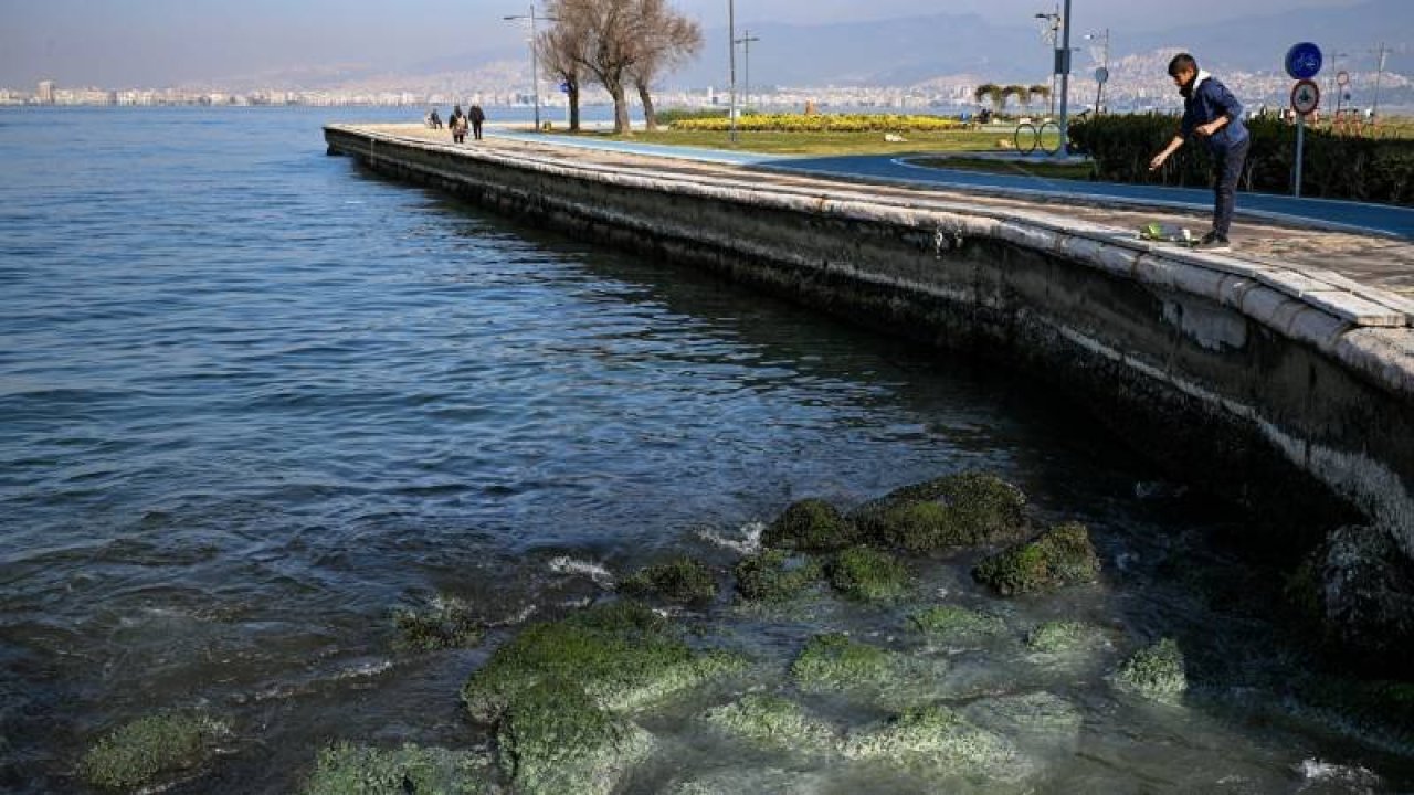 Uzmanlardan Ege Denizi'nde su çekilmesine ilişkin açıklama