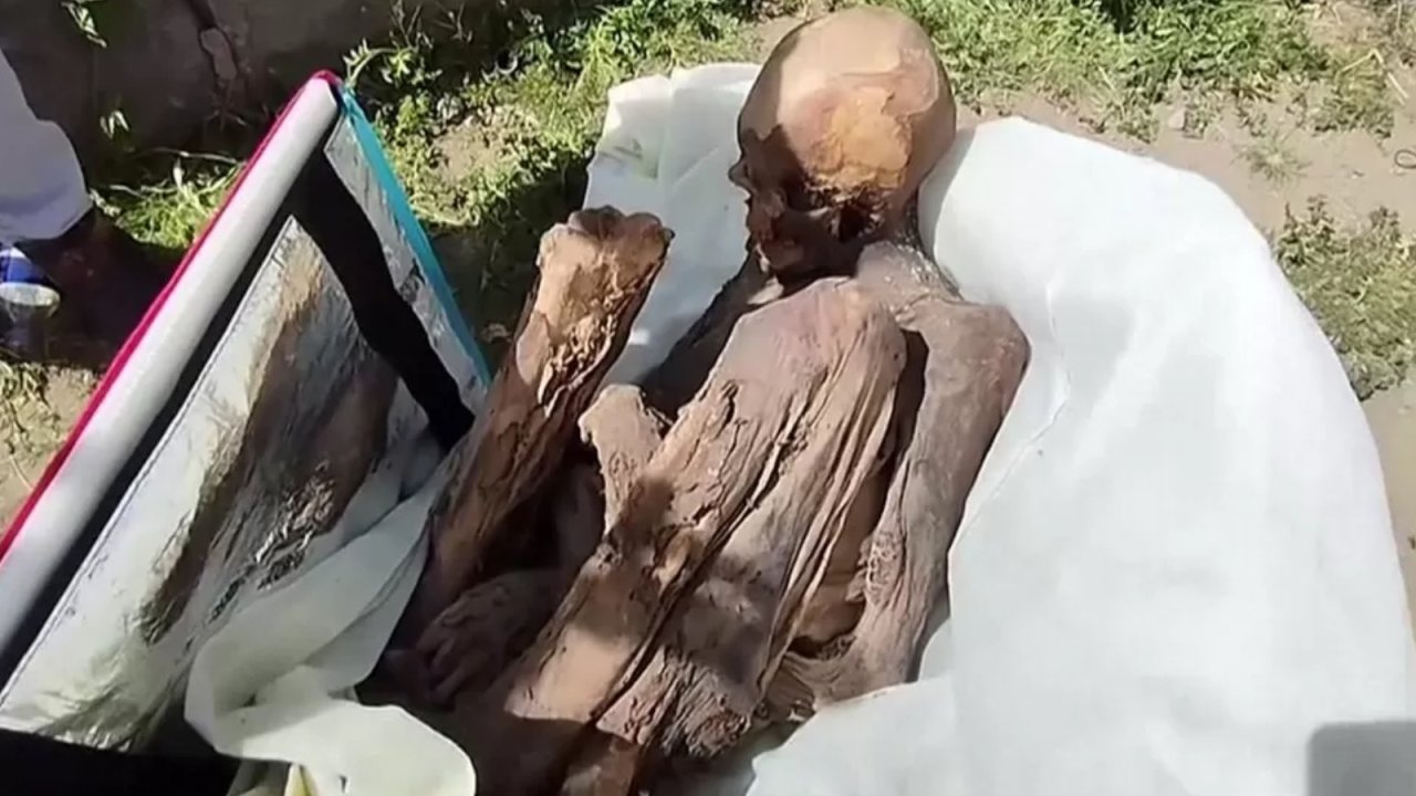 Kuryenin çantasından mumya çıktı