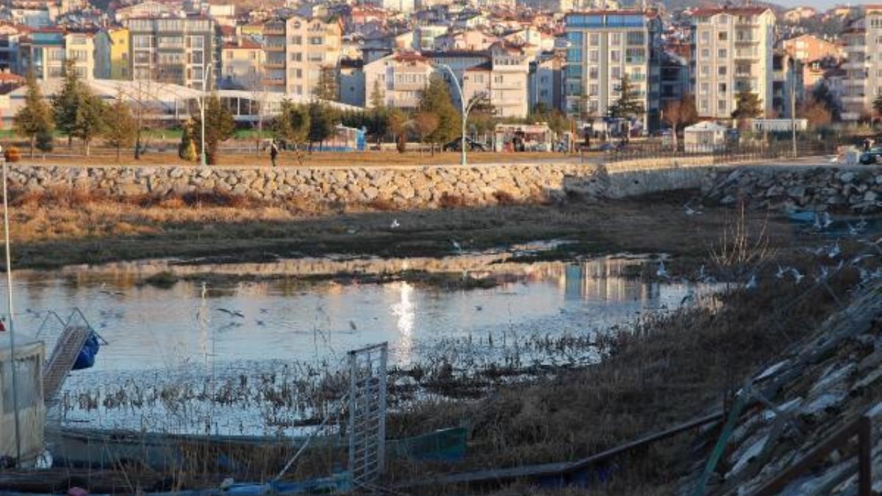 Beyşehir Gölü'nde kuraklığın ardından 'otlanma' tehlikesi