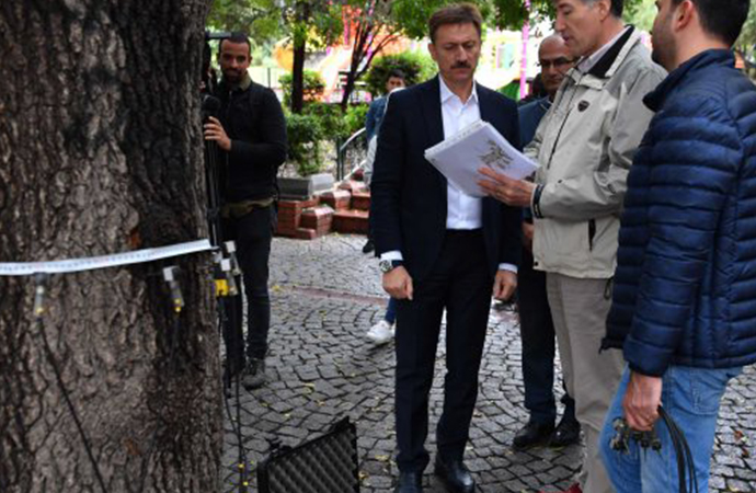 Bahçelievler’de fırtınadan etkilenen ağaçların röntgeni ve tomografisi çekildi