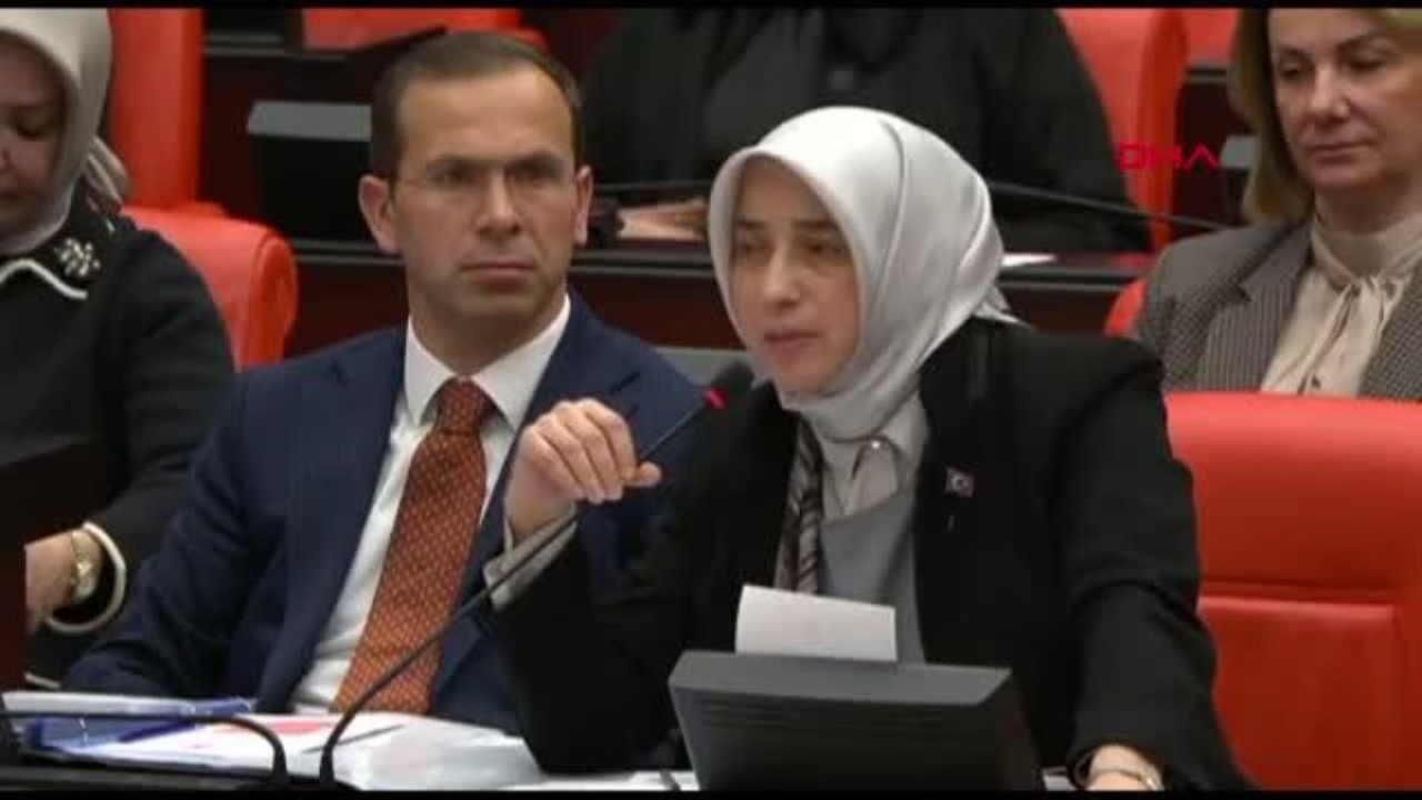 Zengin: '6284, bizim kırmızı çizgimizdir'