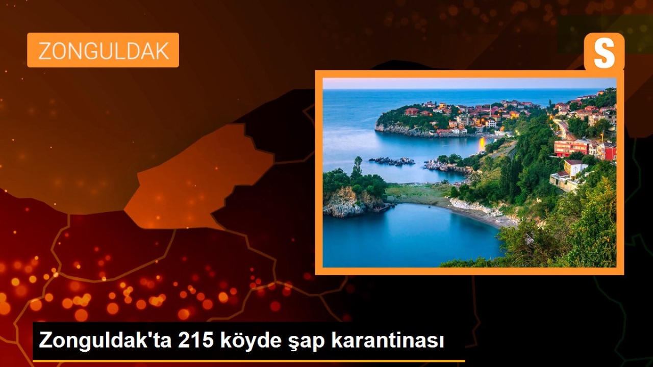 Zonguldak'ta 215 köyde şap karantinası