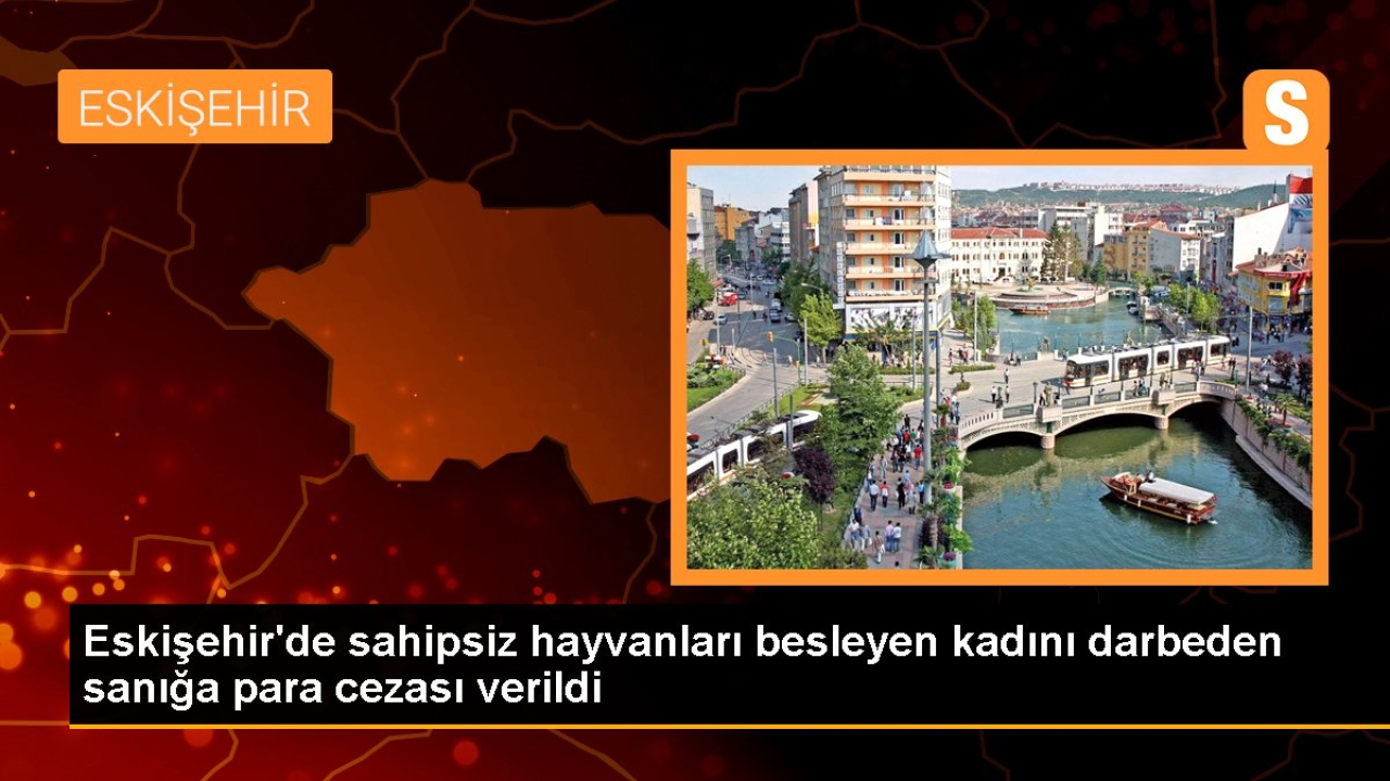 Eskişehir'de sahipsiz hayvanları besleyen kadını darbeden sanığa para cezası verildi