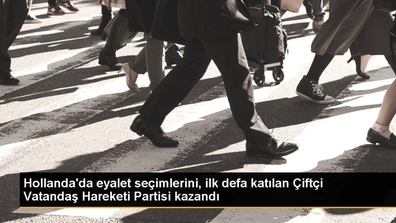 Hollanda'da eyalet seçimlerini, ilk defa katılan Çiftçi Vatandaş Hareketi Partisi kazandı
