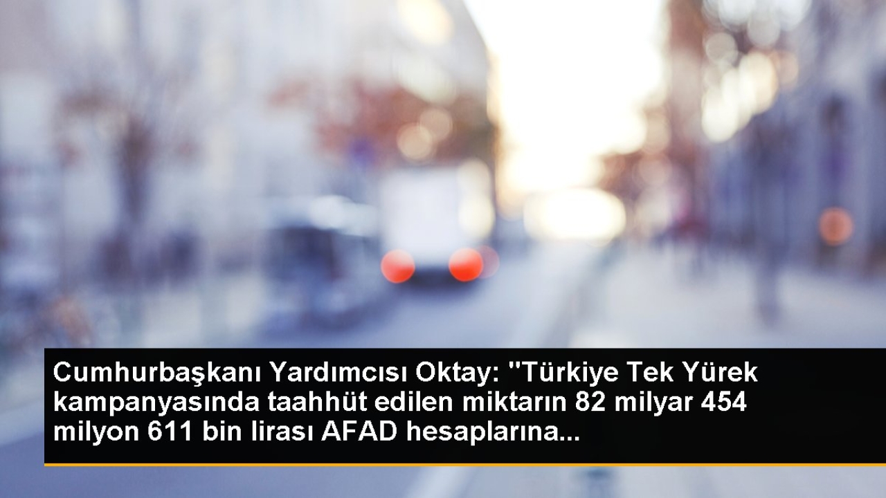 Cumhurbaşkanı Yardımcısı Oktay: