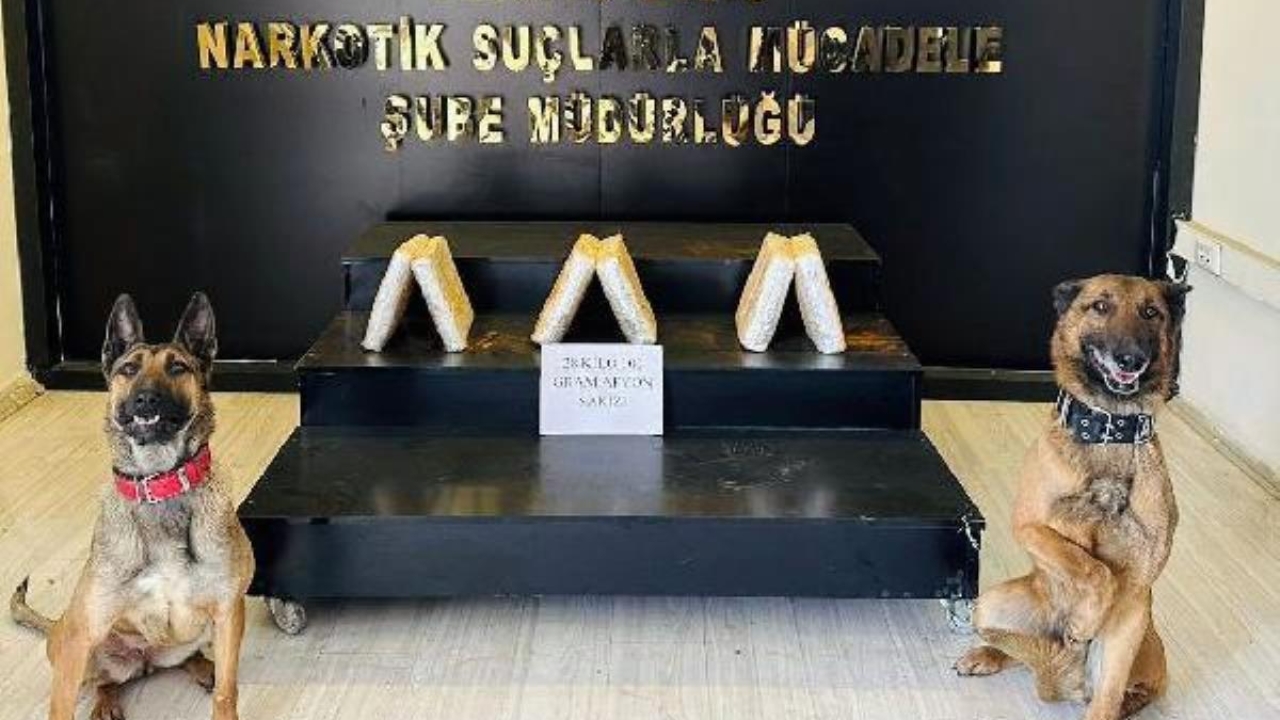 Araçtaki uyuşturucuyu narkotik köpekleri 'Ayzek' ve 'Bella' buldu