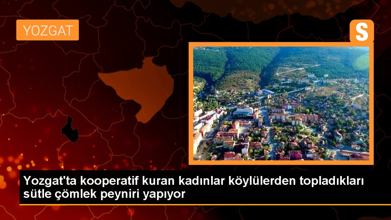 Yozgat'ta kooperatif kuran kadınlar köylülerden topladıkları sütle çömlek peyniri yapıyor