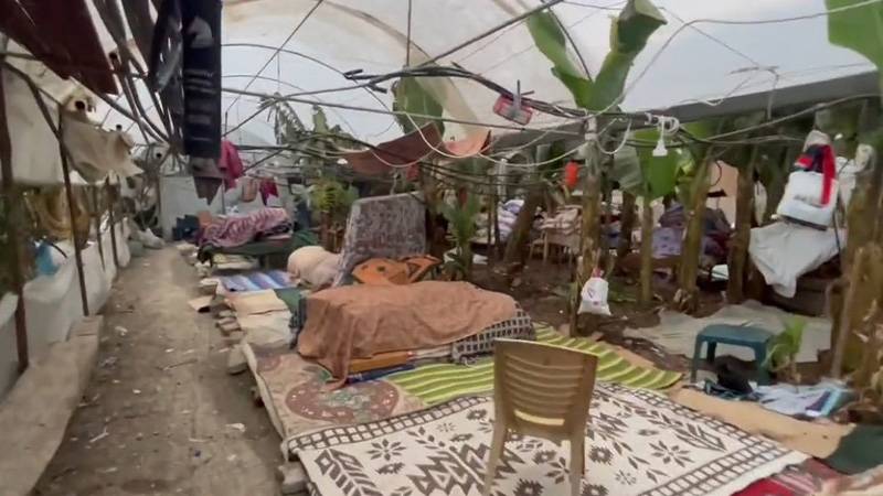 Mahsun Kırmızıgül: Muz serasının içinde çoluk çocuk, hamile kadınlar; 44 gündür yaşamaya çalışıyorlar