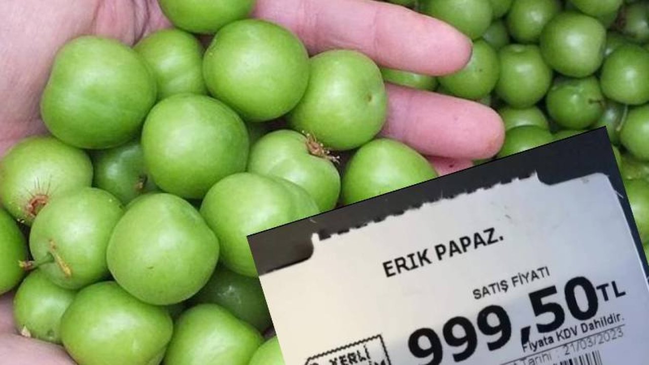 Erik hasatı yapıldı, fiyatı gram altınla yarışıyor!
