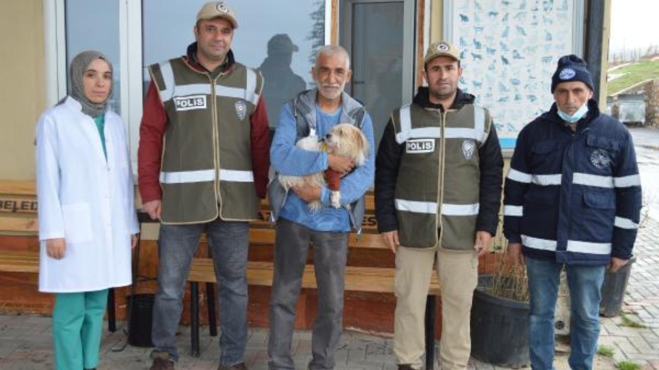Muğla'da 1 yıl önce çalınan köpek, mikroçip sayesinde Elazığ'da bulundu