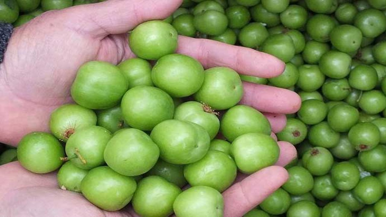 Eriğin kilogram fiyatı dudak uçuklattı