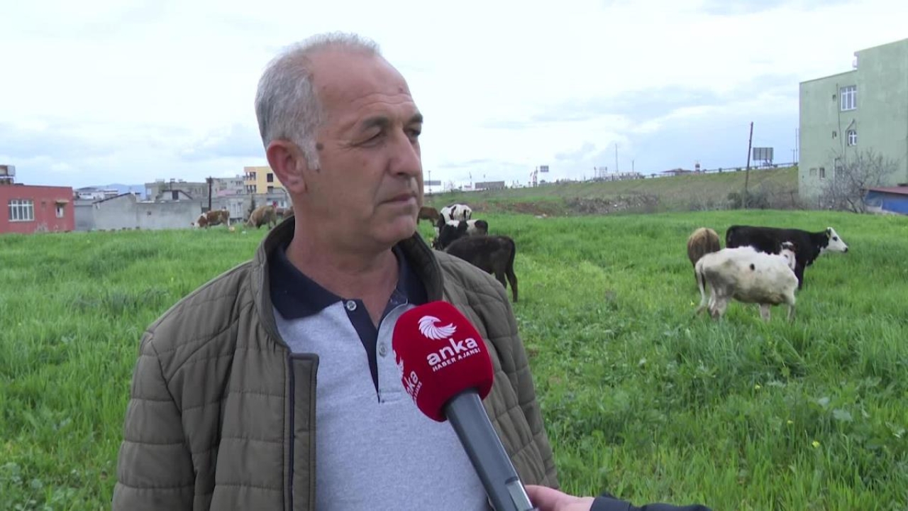 Deprem Sonrası Kaldığı Yurttan Çıkmak Zorunda Kalan ve İslahiye'de Çadır Yaşamaya Başlayan Üniversite Öğrencis