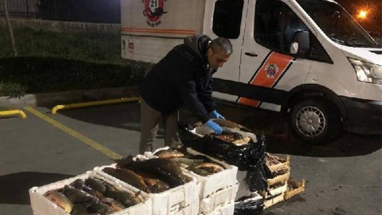 Gürpınar Su Ürünleri Hali'nde 2 ton balığa el konuldu