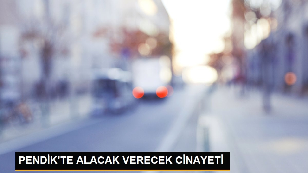 Pendik'te alacak verecek cinayeti