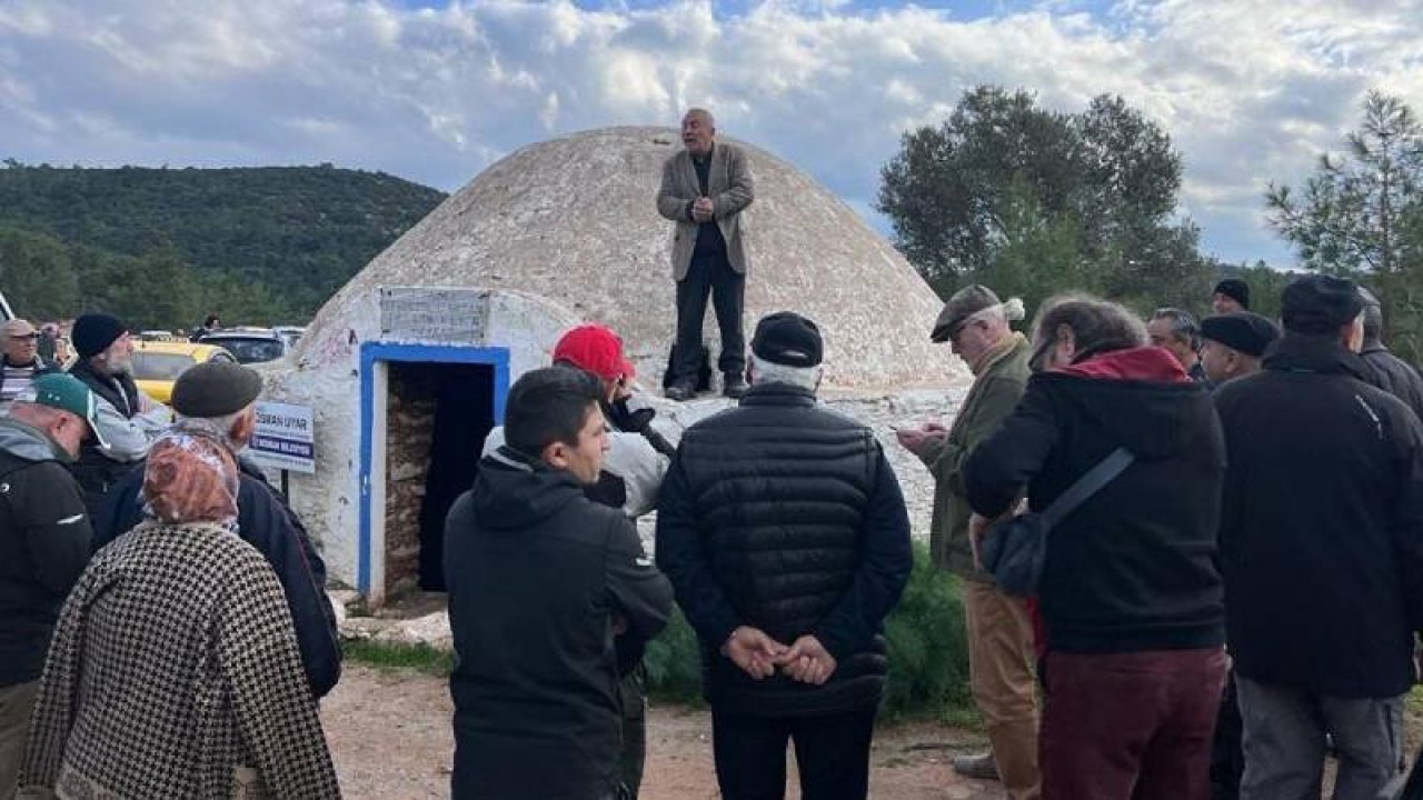 Bodrum'da taş ocağının bilirkişi raporu: Toz, orman ve zeytin ağaçlarını olumsuz etkileyebilir!