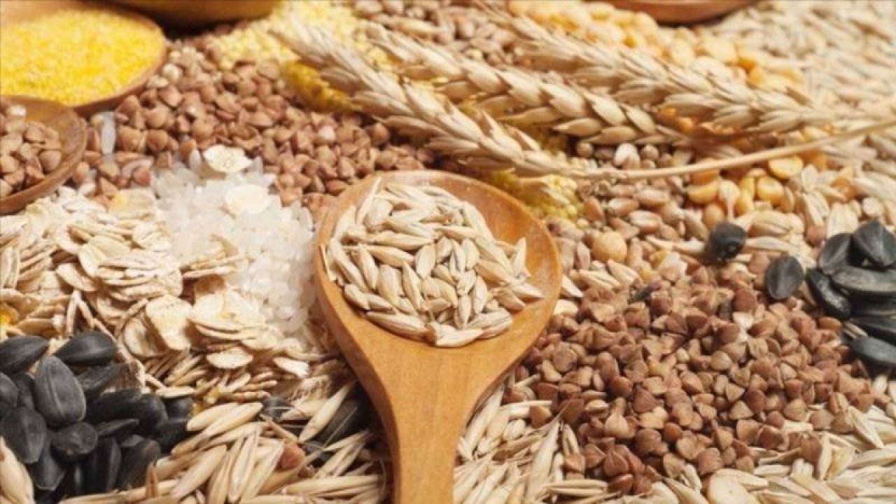 Rusya'ya hububat ve bakliyat ihracatı martta yüzde 586 arttı