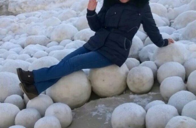 Nadir görülen doğa olayı: Plajda yumurta topları oluştu