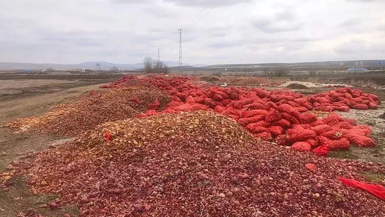 Türkiye gazetesinin soğan mesaisi: Fiyat artışında suçluyu buldular