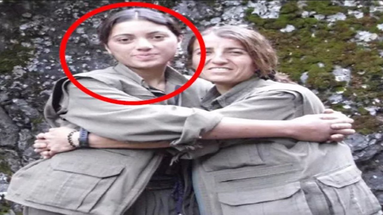Yeşil Sol Parti milletvekili adayı Ayten Dönmez gözaltına alındı