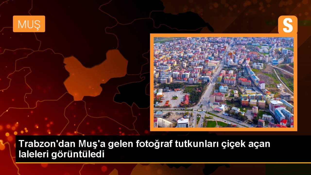 Trabzon Fotoğraf Sanatı Derneği, Muş'ta Ters Lale ve 1071 Muş Lalelerini Görüntüledi