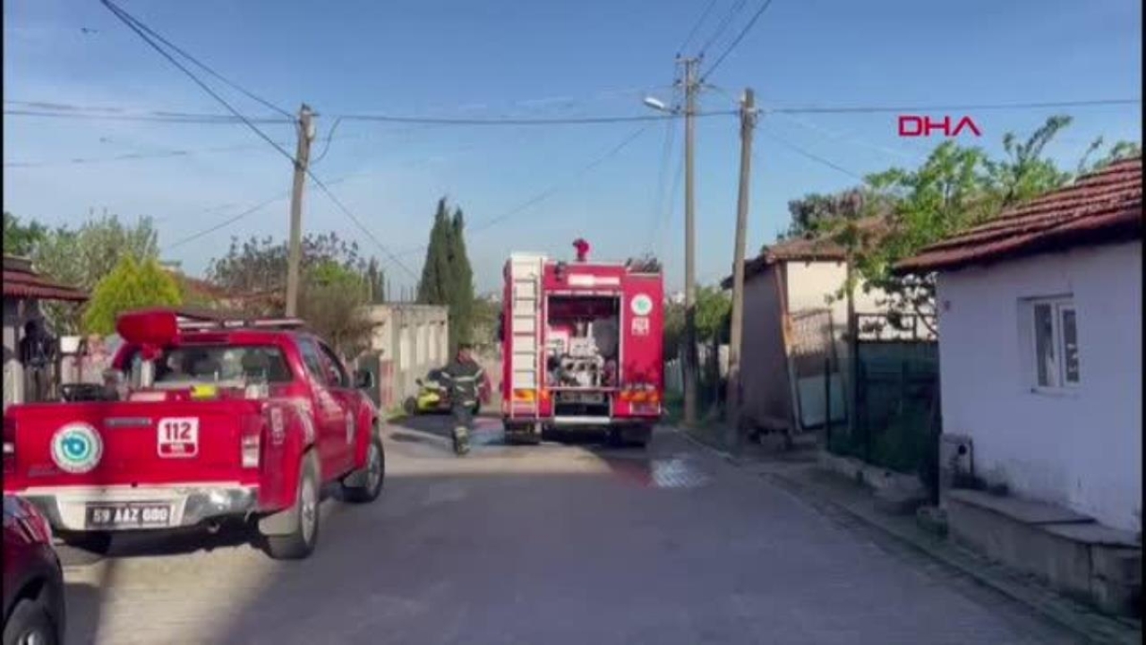 Tekirdağ'da çıkan yangında 15 civciv öldü