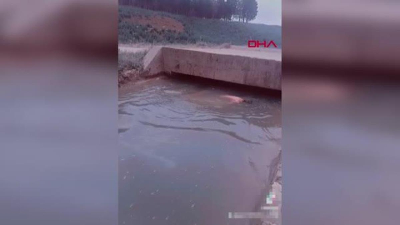 Mardin'de TikTok videosu çekerken su kanalına düşen Suriyeli genç hayatını kaybetti