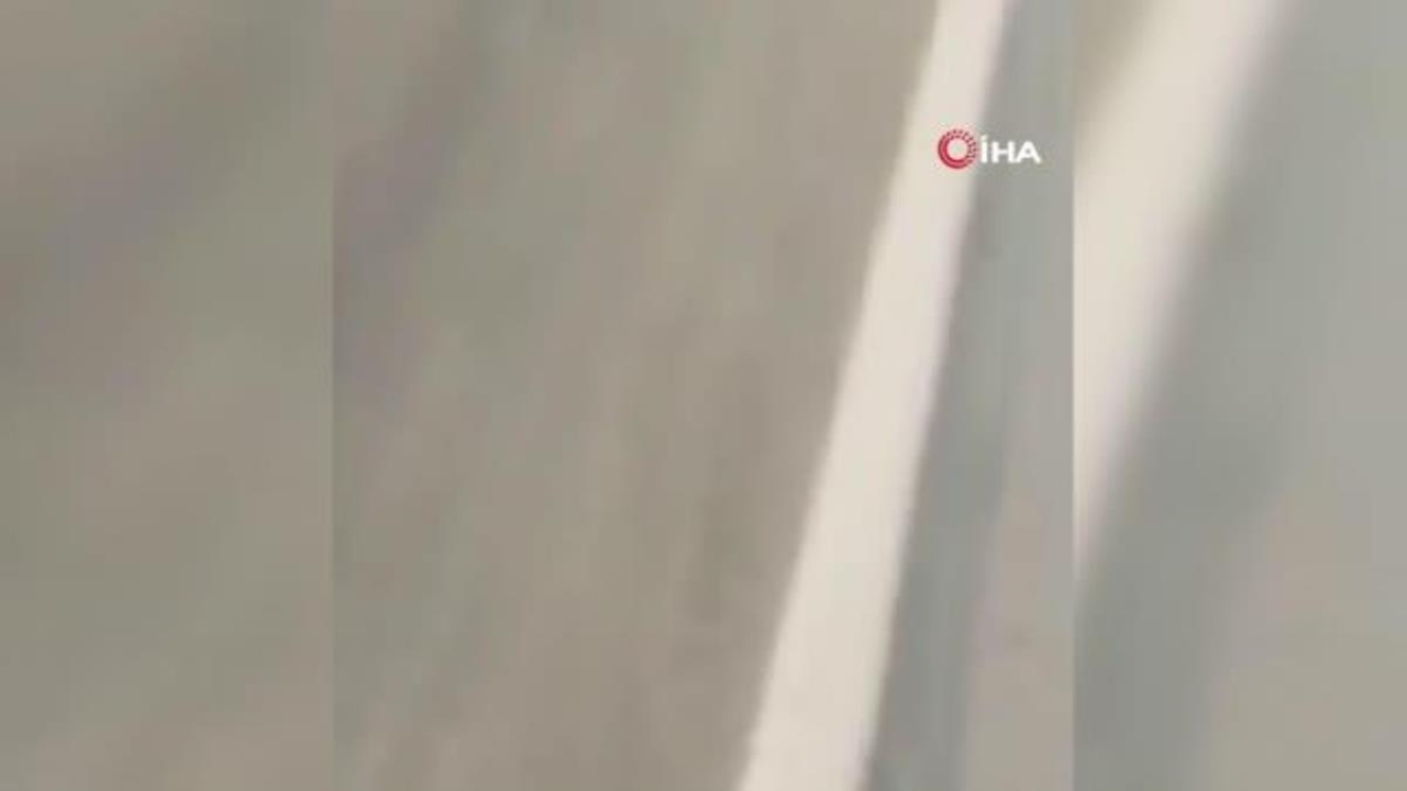 ABD'de araç otobüs durağına daldı: 7 ölü 6 yaralı