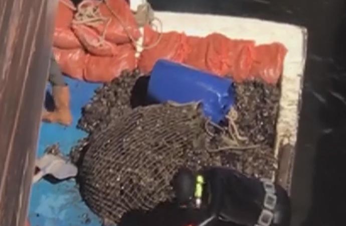 İstanbul'da zehirli midye tehlikesi! Kaçak midyeleri toplarken yakalandılar
