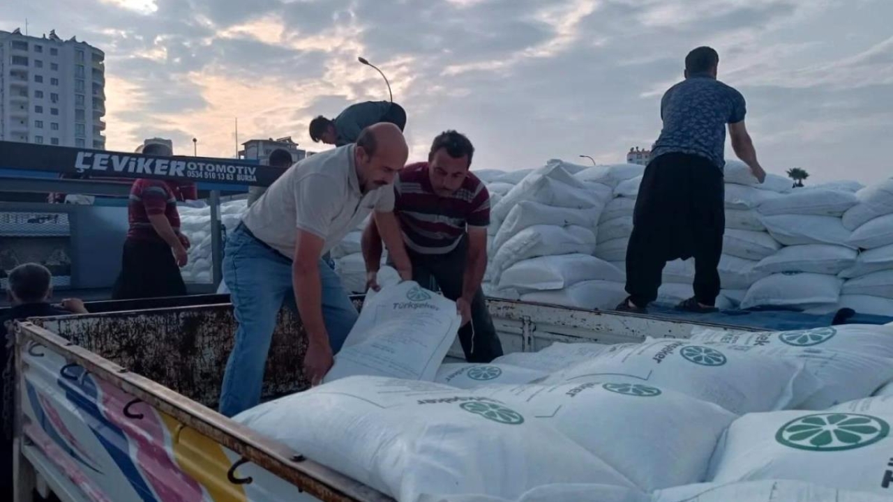Adana'da depremden etkilenen arı yetiştiricilerine hibe edilen 800 ton şeker dağıtılıyor