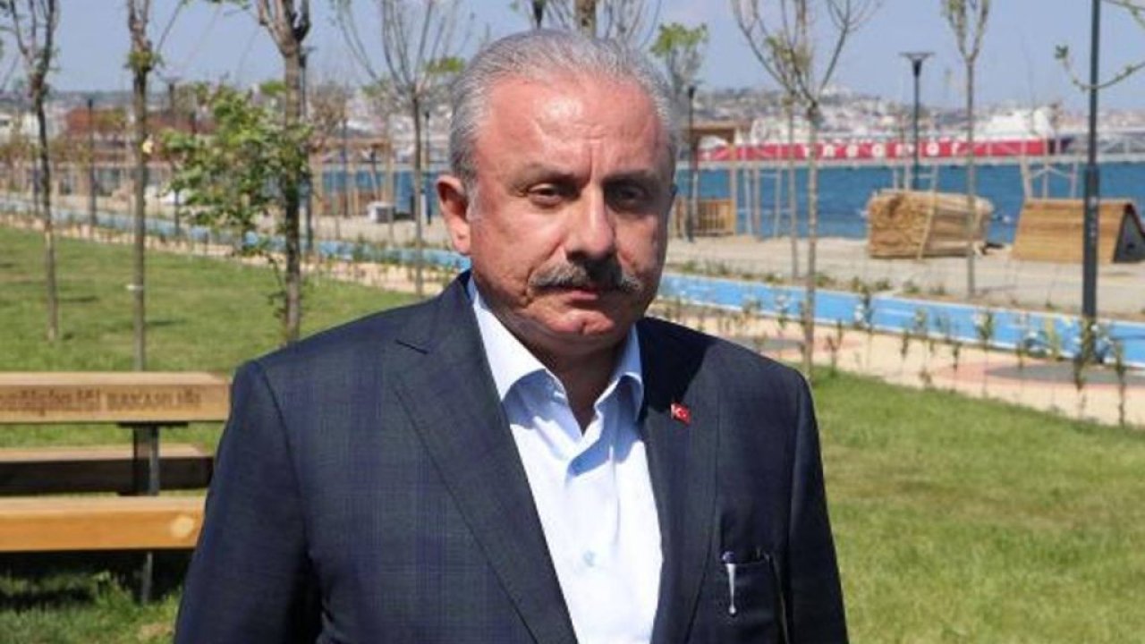 TBMM Başkanı Şentop: Seçimler olgunluk, sükûnet içerisinde geçecektir