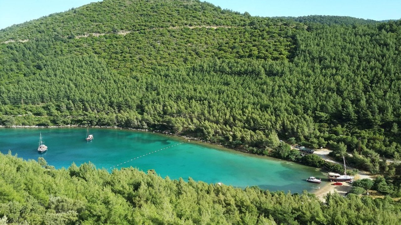 Kişiye özel cumhurbaşkanlığı kararnamesi: Aydın Ayaydın'a 117 metrekarelik orman kıyağı