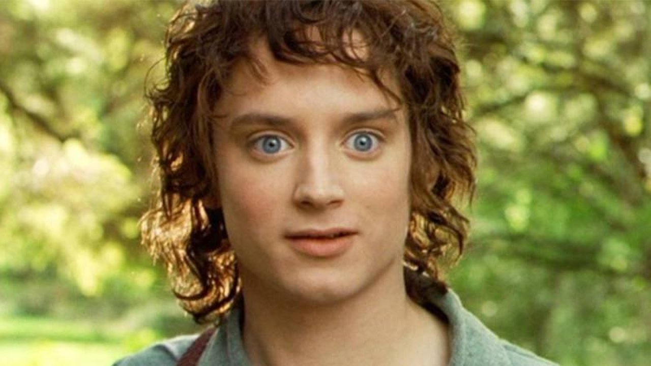 ABD'li oyuncu Elijah Wood'dan seçim mesajı: Yeni bir geleceğin eşiğindesiniz