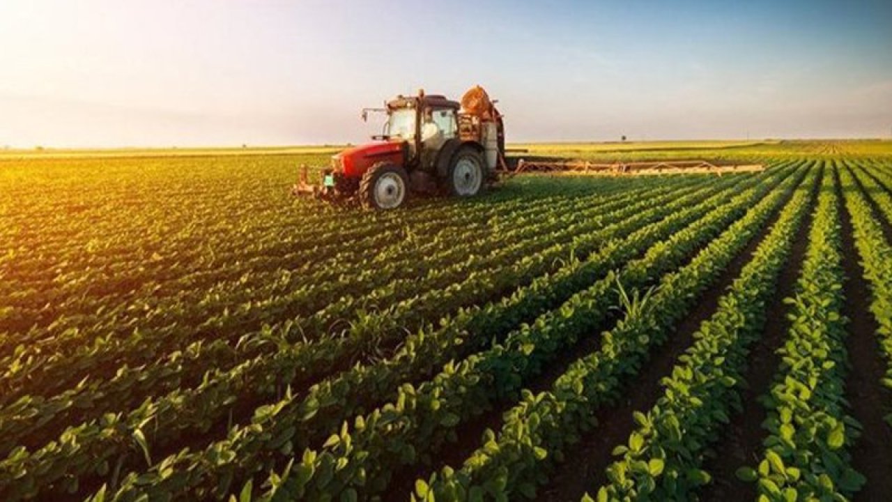 TÜİK: Tarımsal girdi fiyatlarındaki yıllık artış yüzde 50