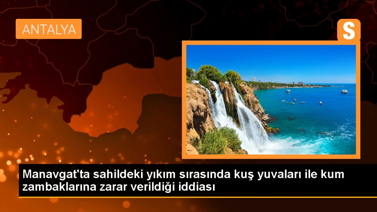 Manavgat'ta sahildeki yıkım sırasında kuş yuvaları ile kum zambaklarına zarar verildiği iddiası
