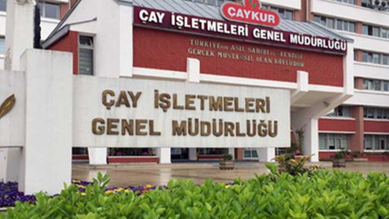 ÇAYKUR 28 Mayıs'ta yaş çay alımı yapmayacak