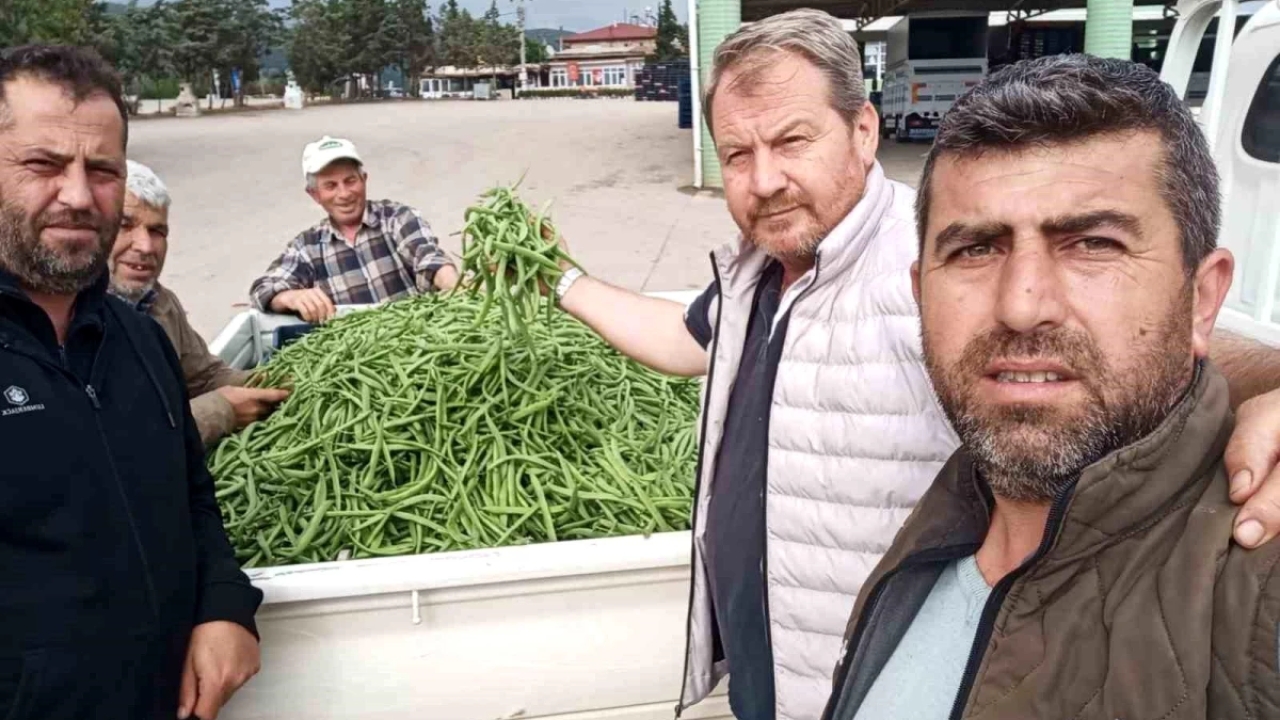 Bursa'da Nazende Fasulye Hasadı Yapıldı