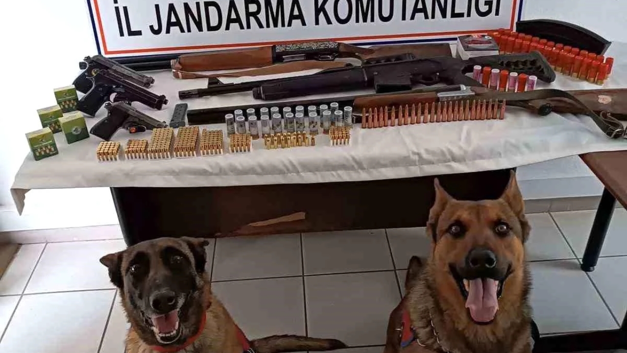 Niğde'de Jandarma Operasyonu: Ruhsatsız Tabanca ve Tüfek Ele Geçirildi