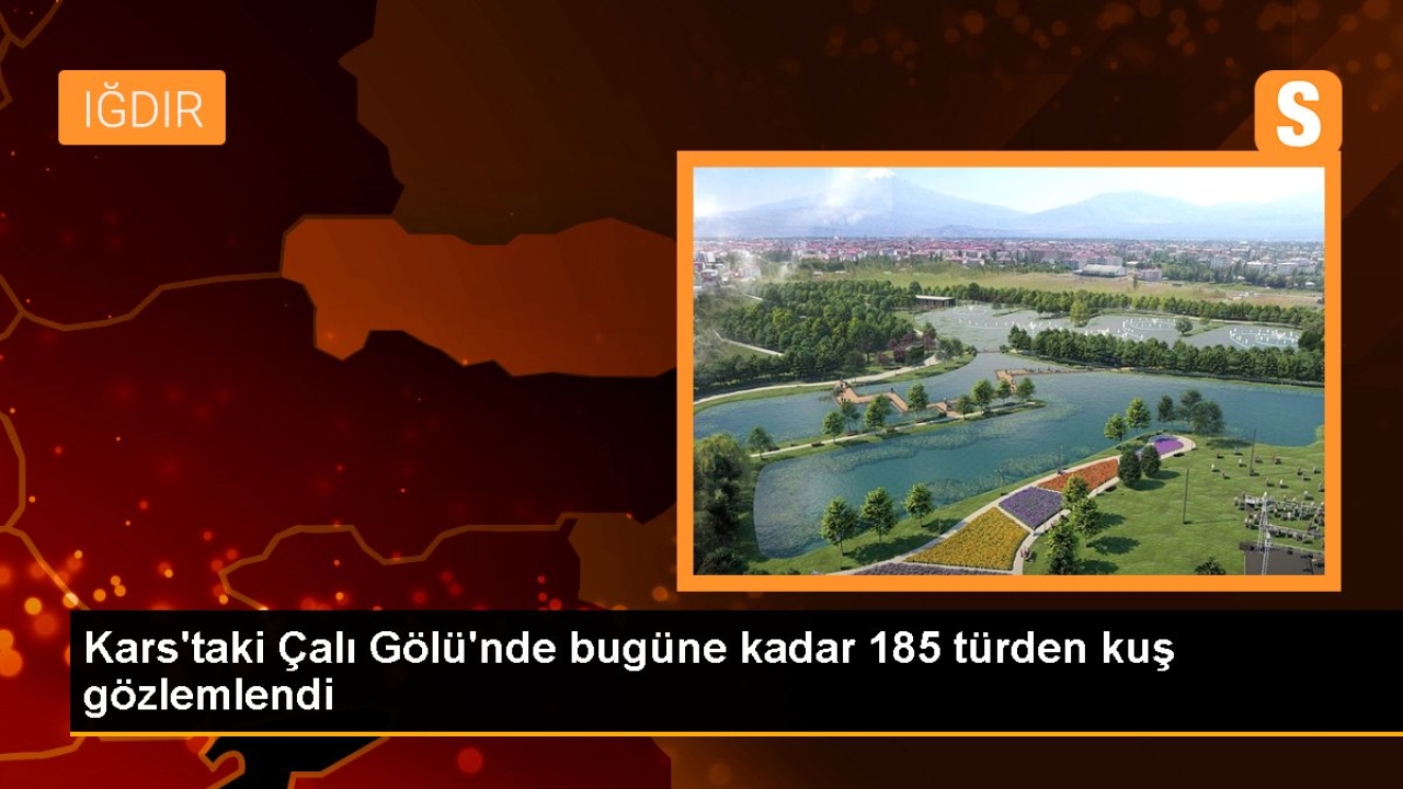 Kars'taki Çalı Gölü sulak alanı 185 kuş türüne ev sahipliği yapıyor