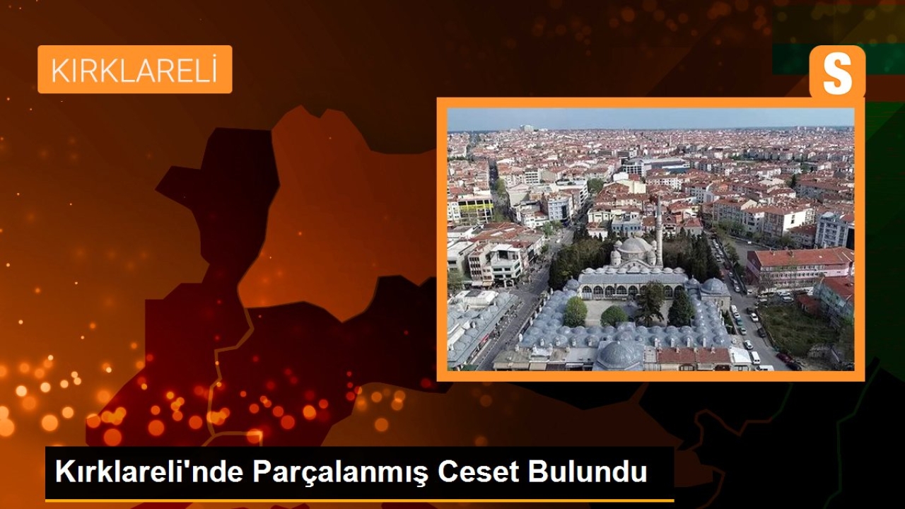 Kırklareli'de Parçalanmış Ceset Bulundu