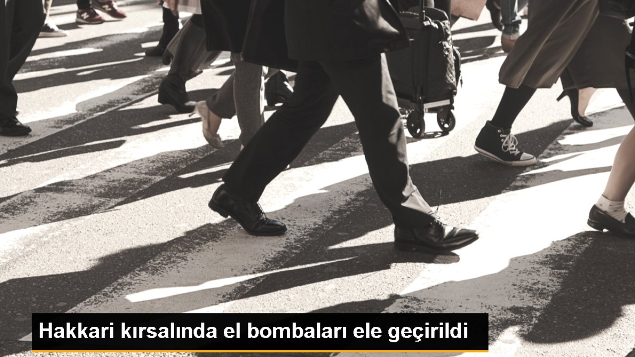 Hakkari kırsalında 14 el bombası ele geçirildi