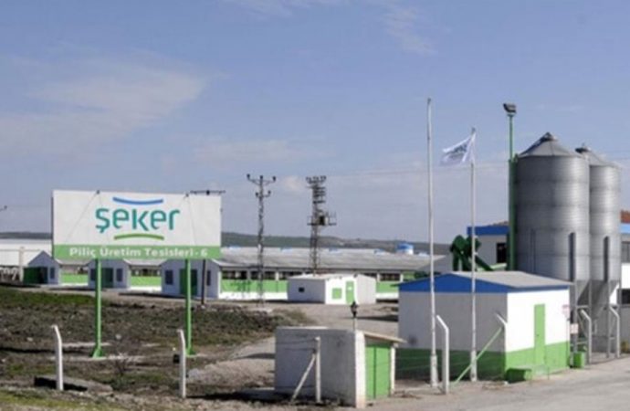 Sahipleri ‘FETÖ’den tutuklanan Şeker Piliç markası icradan satılıyor