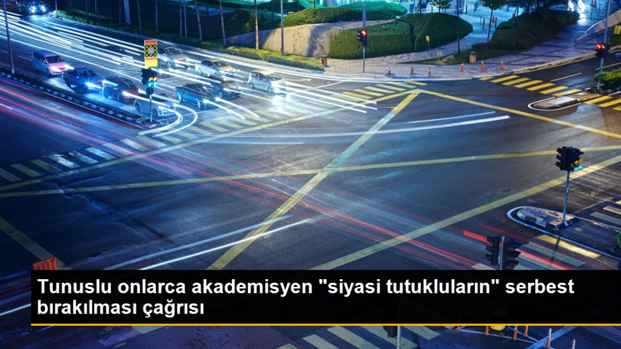 Tunuslu onlarca akademisyen 