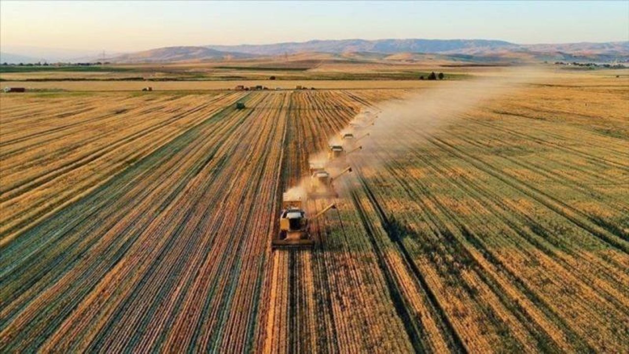 Ziraat Odaları Birliği Başkanı: Genç nüfusun tarıma dönüşünün yollarını aramalıyız