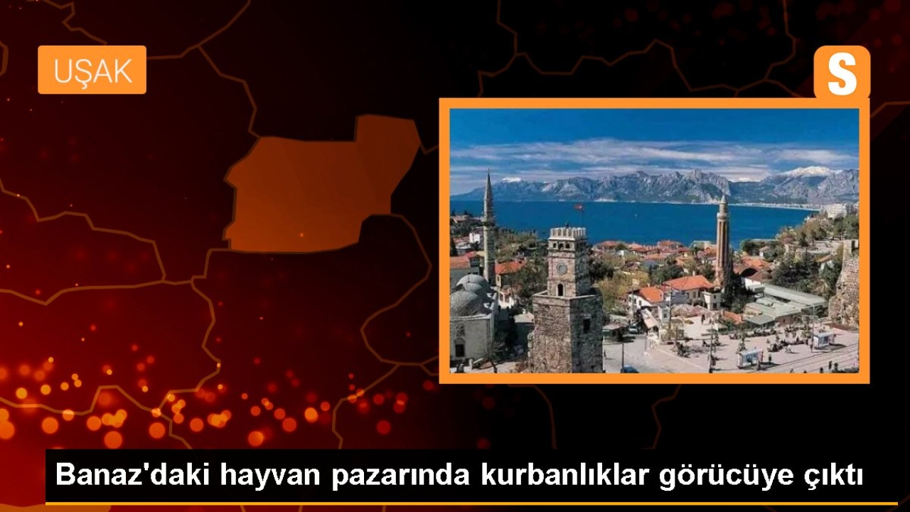 Banaz'daki hayvan pazarında kurbanlıklar görücüye çıktı