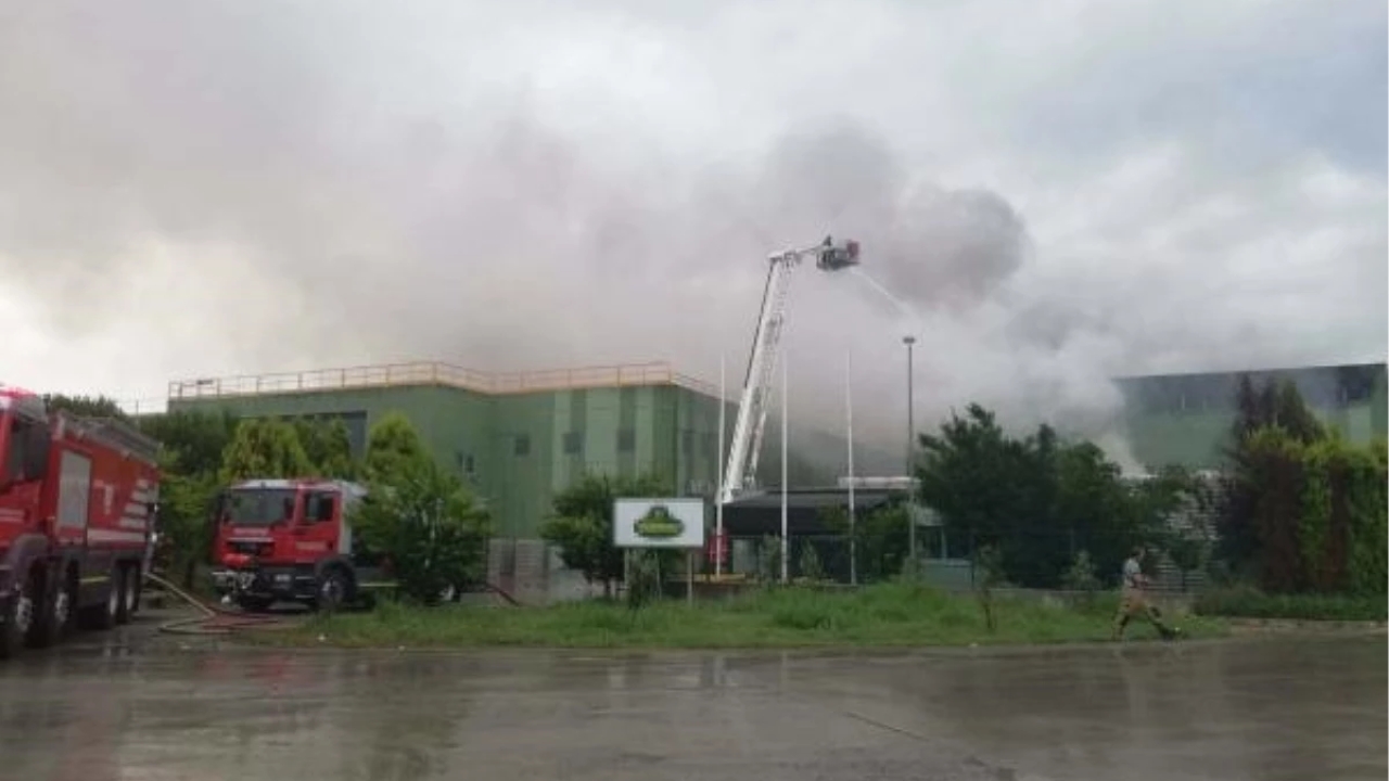 İzmir'de Turşu Fabrikasında Yıldırım Düşmesi Sonucu Yangın Çıktı